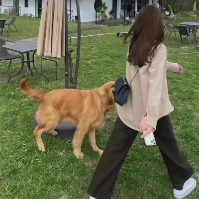 不要碰我的女儿